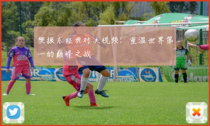 樊振东经典对决视频：重温世界第一的巅峰之战
