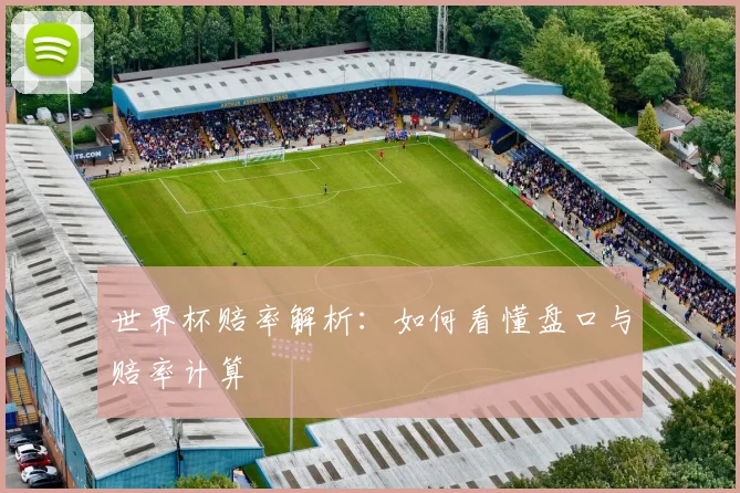世界杯赔率解析：如何看懂盘口与赔率计算