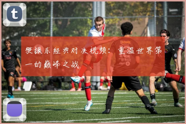 樊振东经典对决视频：重温世界第一的巅峰之战